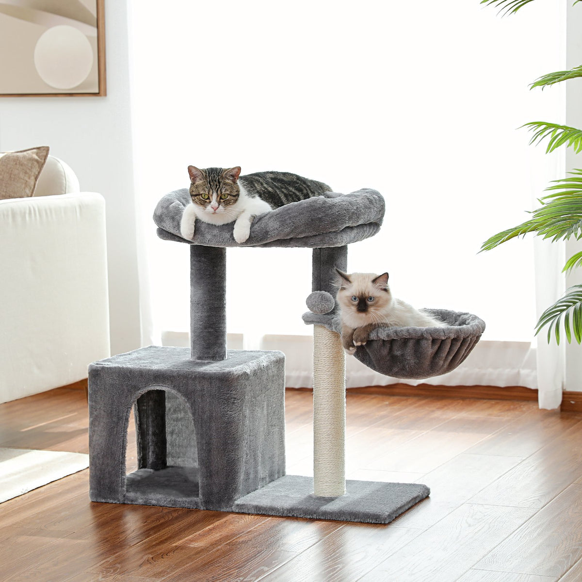 Cat Tree Small Cat Tower Cat Condo-HA01421-Veeddydropshipping