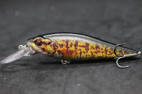 13g 9.5cm Shallow Diver 1.5 Meter Wobbler Real Skin Painting Lifelike Pattern -OS00594-Veeddydropshipping