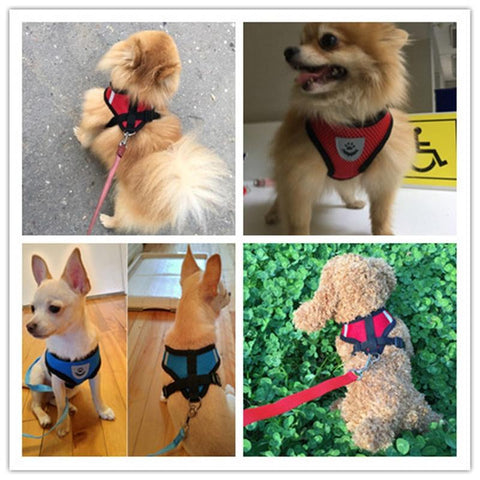 Cat Dog Harness with Lead Leash Adjustable Vest-HA01368-Veeddydropshipping