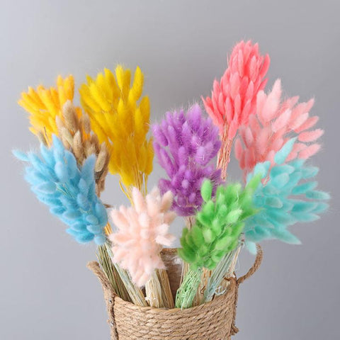 Fluffy Pampas Dried Flowers Bouquet Home Decor-HA00642-Veeddydropshipping