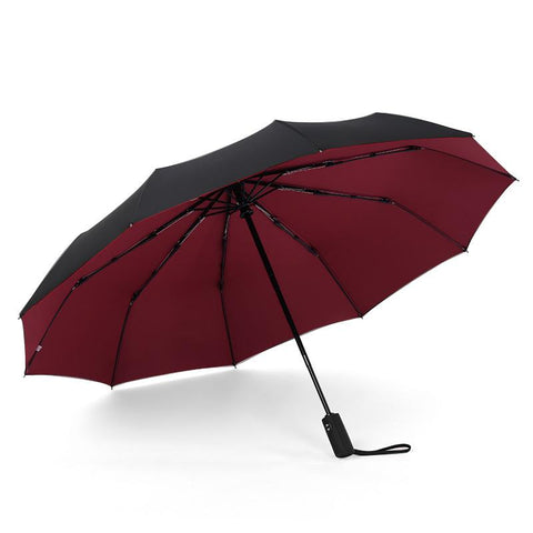 Windproof Double Layer Resistant Umbrella-HA00973-Veeddydropshipping