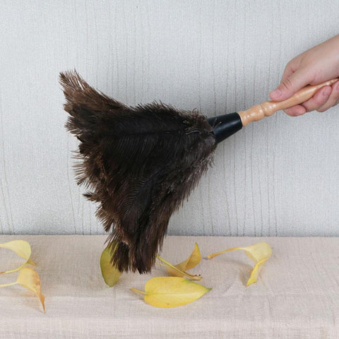 Wooden Handle Anti-static Dust Removal Dusters-HA01087-Veeddydropshipping