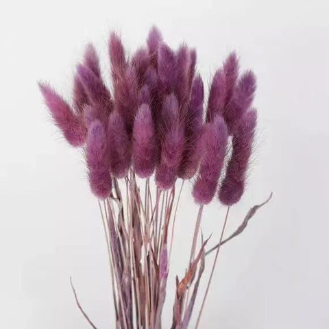 Fluffy Pampas Dried Flowers Bouquet Home Decor-HA00642-Veeddydropshipping