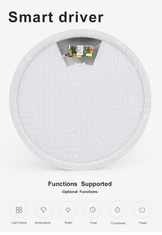 Modern LED Smart Ceiling Light-TI00289-Veeddydropshipping