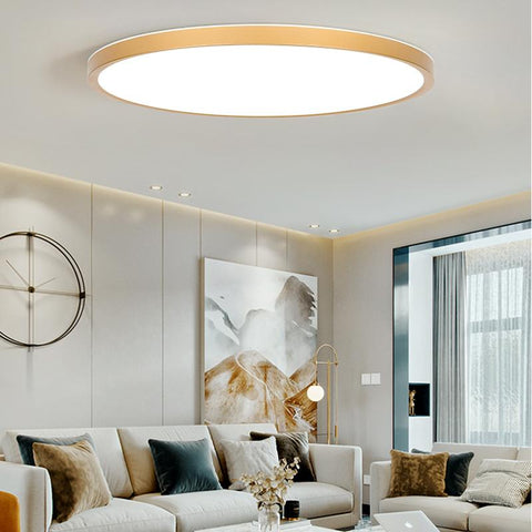 Modern LED Ceiling Light with 3 Colors-TI00301-Veeddydropshipping