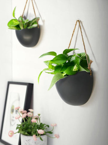 Nordic ceramic flower pendant wall hanging-HA00256-Veeddydropshipping