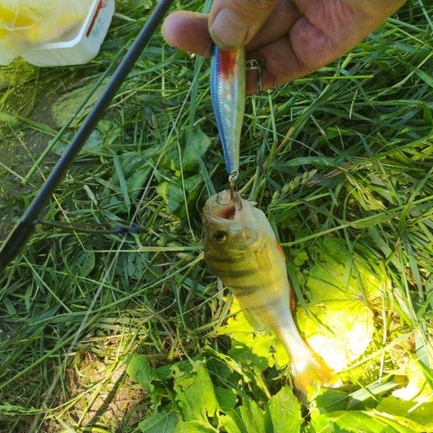 Minnow Crank Wobbler Jerkbait Fishing Lure 8.8Cm 9G Isca Artificial Carkbait Wobblers -OS00504-Veeddydropshipping