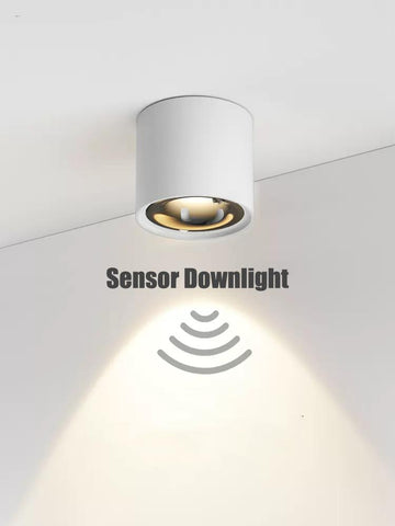 Ceiling Downlight Surface Mounted -TI00369-Veeddydropshipping