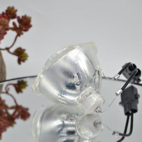 Free shipping Compatible Bare Lamp ELPLP80/ELPLP78/ELPLP88/ELPLP79-CE00903-Veeddydropshipping
