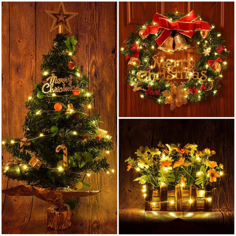LED Lights 5M 50LEDs 10M 100LEDs 5V USB LED String light Fairy-TI00927-Veeddydropshipping