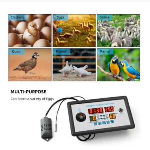 Smart Thermostat Digital ZFX-W9002 Thermostat Temperature Humidity-TI01017-Veeddydropshipping