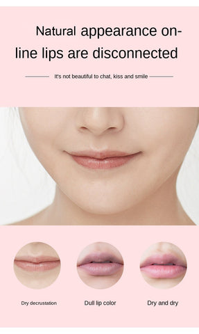 Lip Balm Nourish Lips Care Long-Lasting-BH00668-Veeddydropshipping