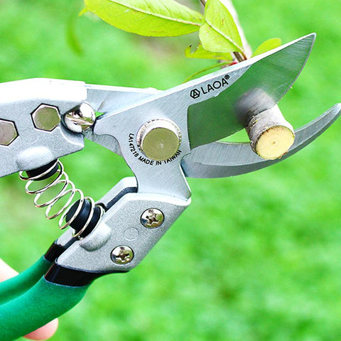 Pruning Scissors Cutters Flower Gardening Tool-TI00083-Veeddydropshipping