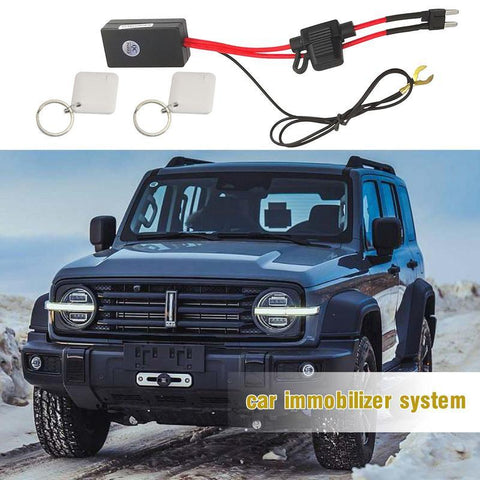 Car Immobilizer System Automobile Immobilizer Security System-AM00591-Veeddydropshipping