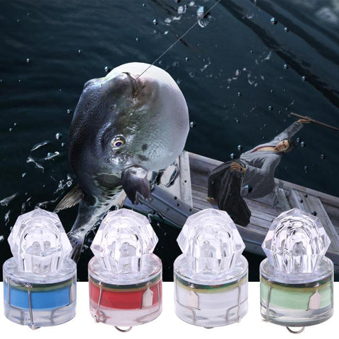 4pcsMini LED Waterproof Fishing Colorful ABS Bait Light LED Deep Drop-TI00966-Veeddydropshipping