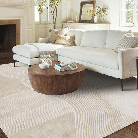 Minimalist  Living Room Decoration Plush Carpet-HA00500-Veeddydropshipping