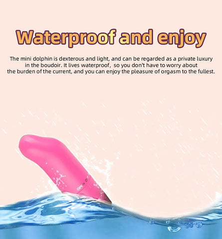 Safe Dolphin Vibrator Egg Secret Bullet Vibrator Clitoris Stimulator G-spot Masturbator-BH01311-Veeddydropshipping