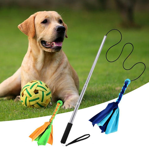 Dog Teaser Rod Bite-resistant Retractable-HA01503-Veeddydropshipping