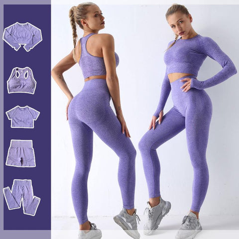 2/3/5PCS Yoga Set Seamless Workout Clothes Fitness Sports Bra Leggings Long -OS00791-Veeddydropshipping