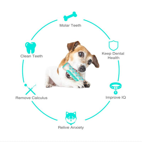 Dog Toy Teething Stick Chewable Teeth Cleaning Bones-HA01476-Veeddydropshipping