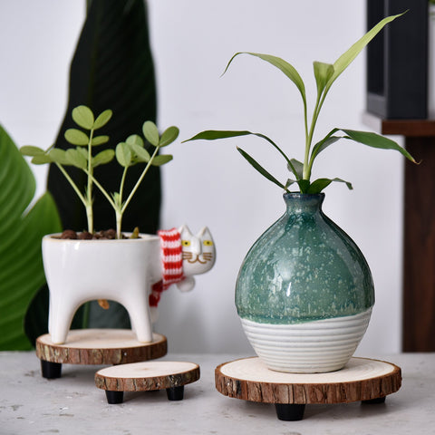 Flower Pot Rack Home Garden Plant Stand Shelf-HA01717-Veeddydropshipping