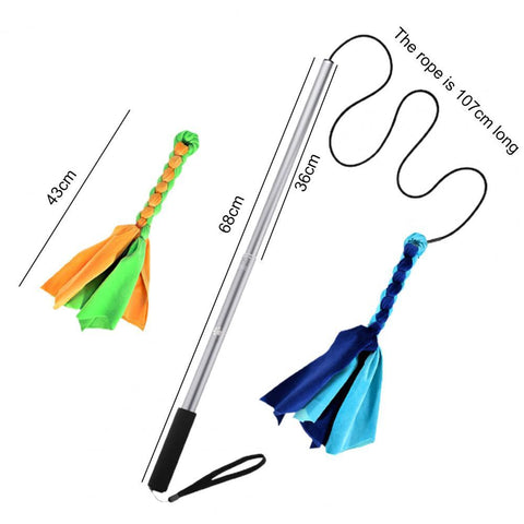 Dog Teaser Rod Bite-resistant Retractable-HA01503-Veeddydropshipping