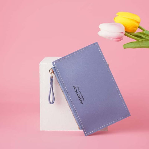 bank credit card holder, multi-slot ultra-thin coin purse, card holder-BS00637-Veeddydropshipping