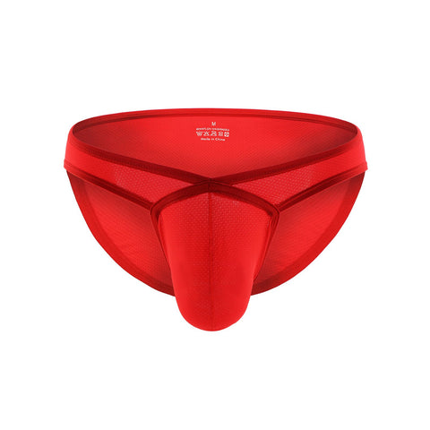 Men Briefs Sexy Mesh Underpants Bulge Penis Pouch Low Waist Panties-0MF01631-Veeddydropshipping