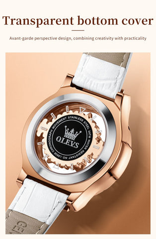 Quartz Luxury Diamonds Waterproof  Elegant Quartz Watch -JW00990-Veeddydropshipping