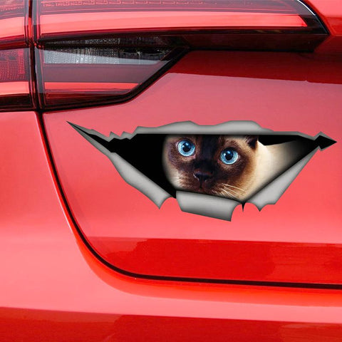 Self-adhesive Decal Car Sticker Waterproof Auto Decors on-AM01011-Veeddydropshipping