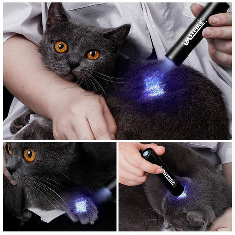 USB Rechargeable 365nm UV Flashlight Ultraviolet Lamp Torch Black-TI00772-Veeddydropshipping