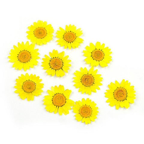 Dried Flowers Resin Filler Jewelry Making Plant Decoration-HA00664-Veeddydropshipping