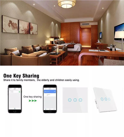 WiFi Tuya Smart  Automatic Curtain Blind Switch for Electric Motorized Roller-TI01061-Veeddydropshipping