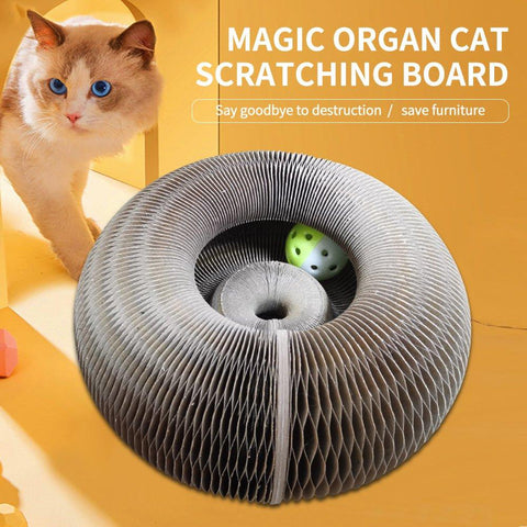Foldable Cat Scratch Board Toy with Bell-HA01384-Veeddydropshipping