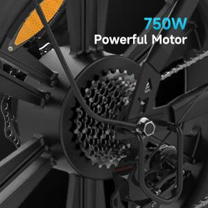 HR-G50 Brushless Motor Electric Bicycle 750W 48V 15Ah 20 Inch E-Bike -OS00938-Veeddydropshipping
