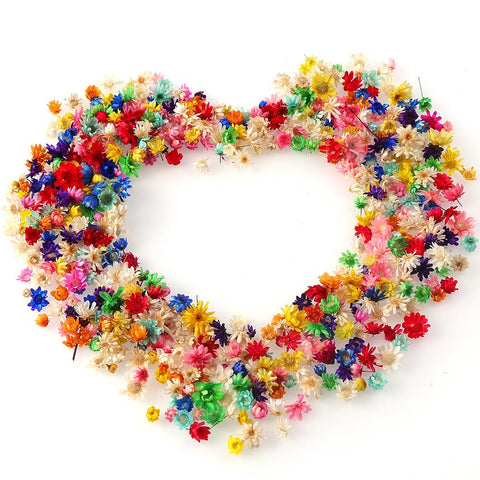 Decorative Dried Flower Mini Star Bouquet-HA00646-Veeddydropshipping