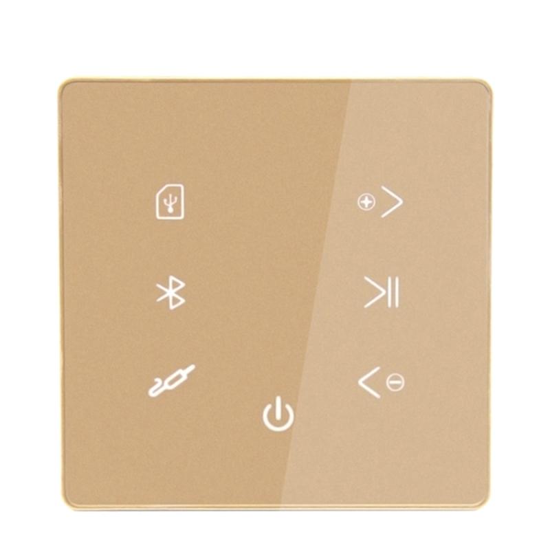 Music Amplifier Panel Smart Home Background Audio System-Veeddydropshipping