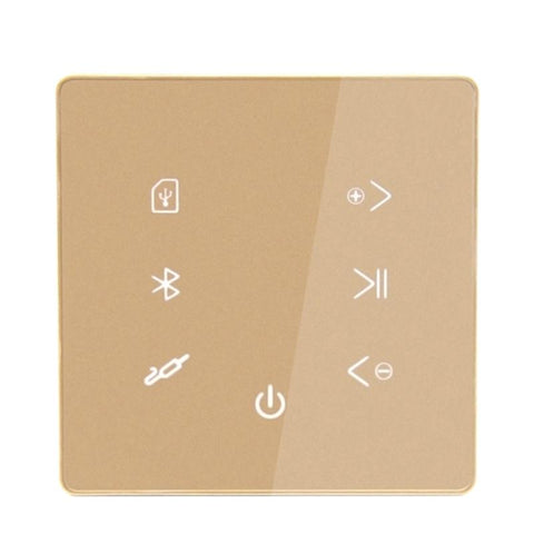 Music Amplifier Panel Smart Home Background Audio System-Veeddydropshipping