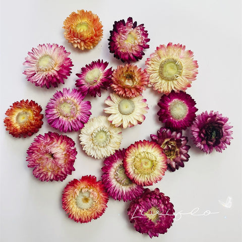 Natural Dried Flowers Head Epoxy Resin Mold-HA00747-Veeddydropshipping