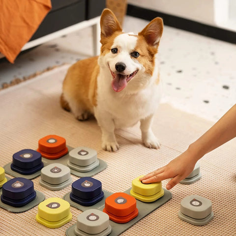 Dog Pet Vocal Training Toy Bell Ringer-HA01497-Veeddydropshipping