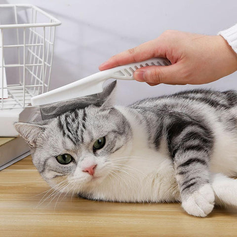 Pet Cat Comb Anti Lice Stainless Steel-HA01383-Veeddydropshipping