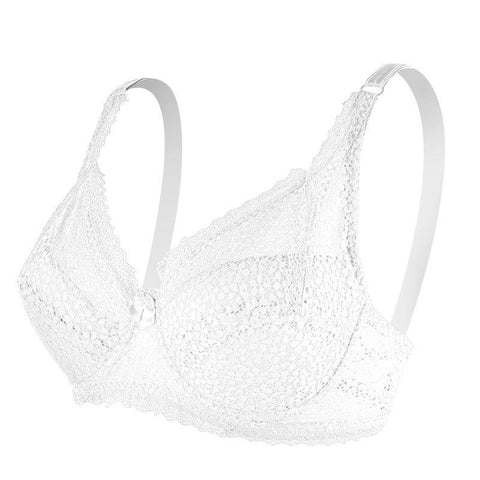 Lace Bra Large Size Ladies Underwear-WF00816-Veeddydropshipping