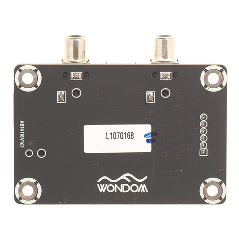CS5343 Analog to I2S Decode Board-CE00987-Veeddydropshipping
