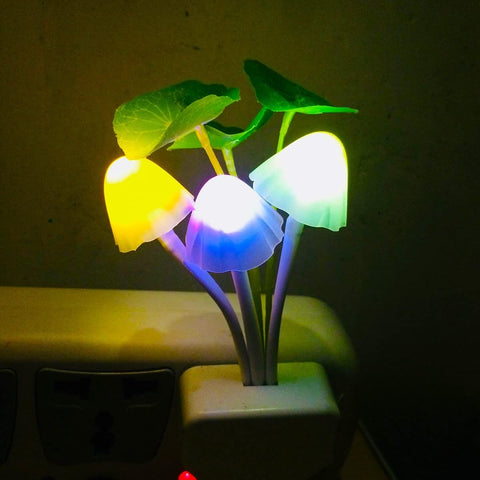 LED Lamp Night Light Sensor Light-TI00481-Veeddydropshipping