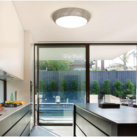 Modern Led Waterproof Ceiling Lamp Dimmable -TI00295-Veeddydropshipping