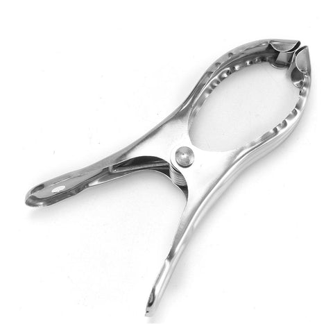 Clothes Pegs Hanging Pins Clips Stainless Steel-HA01064-Veeddydropshipping