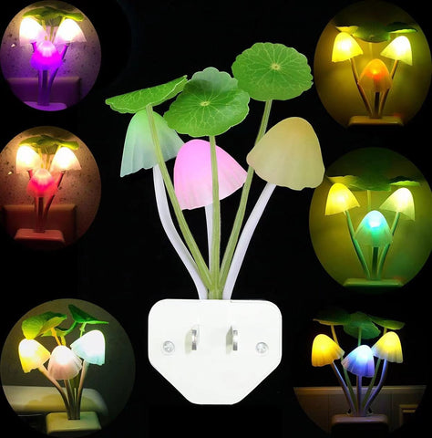 LED Lamp Night Light Sensor Light-TI00481-Veeddydropshipping