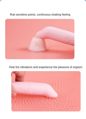 Safe Dolphin Vibrator Egg Secret Bullet Vibrator Clitoris Stimulator G-spot Masturbator-BH01311-Veeddydropshipping