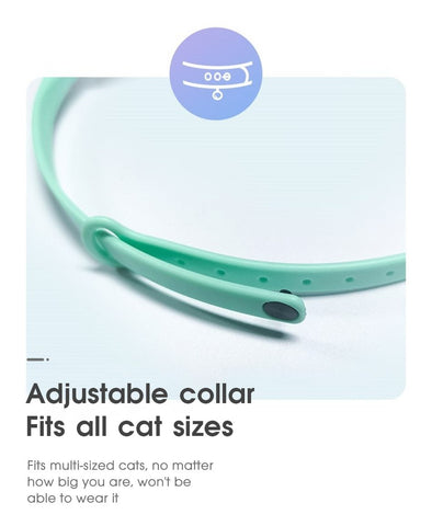 Smart Laser Tease Cat Collar Electric USB Charging-HA01452-Veeddydropshipping