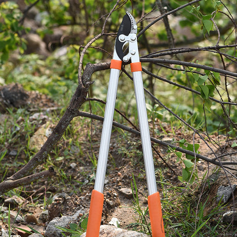 Pruning Ratchet Cut Tree  Garden Tools-TI00064-Veeddydropshipping